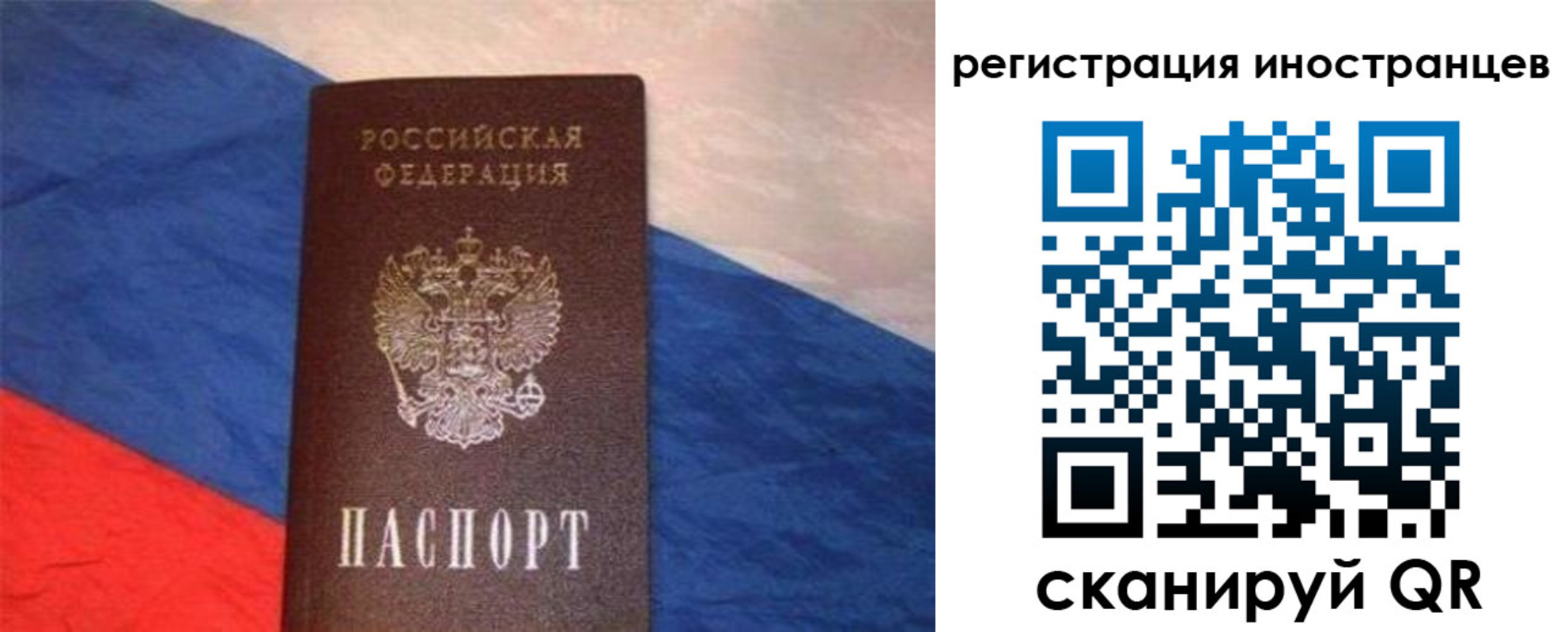 прописка в Новоузенске